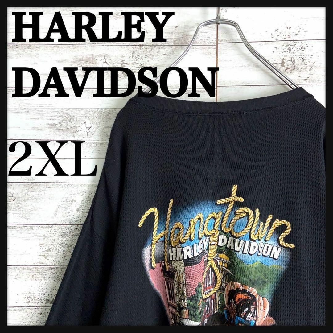 Harley Davidson(ハーレーダビッドソン)の8726【人気デザイン】ハーレーダビッドソン☆バックプリント ロングtシャツ メンズのトップス(Tシャツ/カットソー(七分/長袖))の商品写真