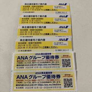 エーエヌエー(ゼンニッポンクウユ)(ANA(全日本空輸))のANA株優待券(その他)