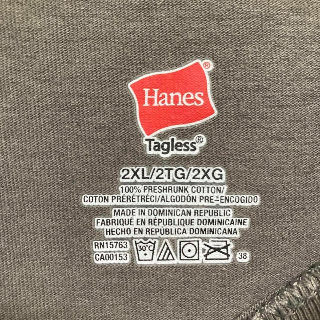 Hanes(ヘインズ)の6264 ボロTシャツ ダメージ　アニマル　フクロウ　古着 2XL メンズのトップス(Tシャツ/カットソー(半袖/袖なし))の商品写真