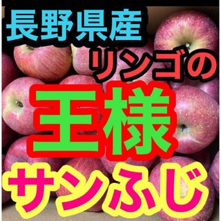 長野県産りんご　ふじ　約10キロ(フルーツ)