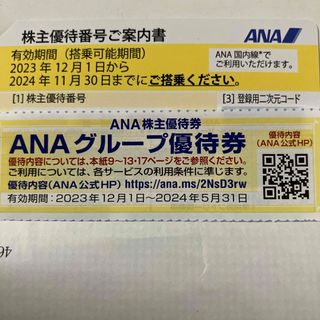 エーエヌエー(ゼンニッポンクウユ)(ANA(全日本空輸))のANA株優待券1枚(その他)