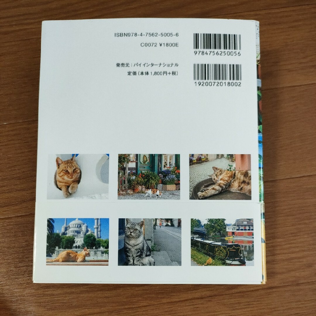 □　世界の街猫　写真集　フォトブック　パイ インターナショナル エンタメ/ホビーの本(趣味/スポーツ/実用)の商品写真