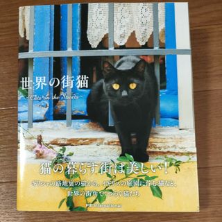 □　世界の街猫　写真集　フォトブック　パイ インターナショナル(趣味/スポーツ/実用)