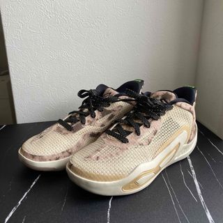 ナイキ(NIKE)のナイキジョーダン（JORDAN）ジュニアバスケットジョーダン テイタム 1 (スニーカー)