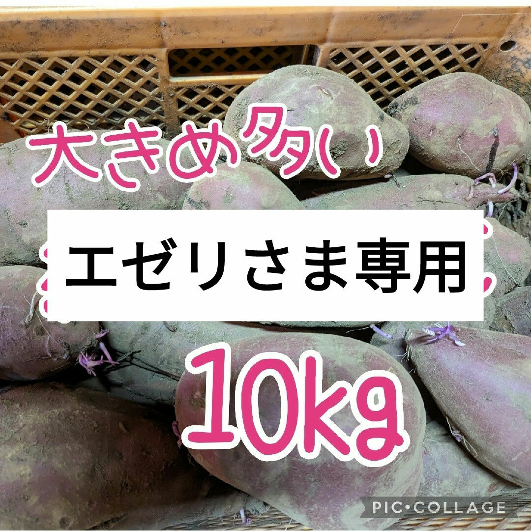 エゼリさま専用　大きめ多い紅はるかBC10kg 食品/飲料/酒の食品(野菜)の商品写真