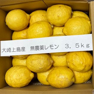 広島県大崎上島産無農薬レモン　3.5kg(フルーツ)