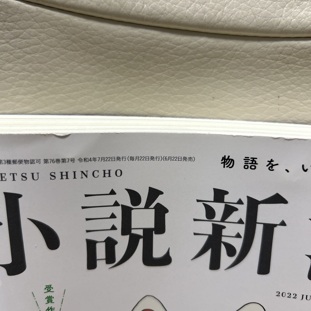 新潮社(シンチョウシャ)の小説新潮 2022年 07月号 [雑誌] エンタメ/ホビーの雑誌(アート/エンタメ/ホビー)の商品写真