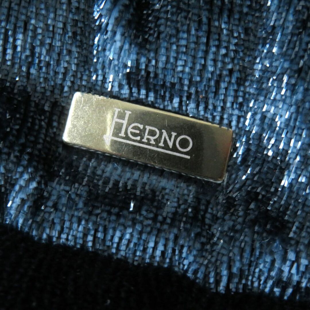 HERNO(ヘルノ)の未使用品★正規品 HERNO ヘルノ PI0861D ロゴプレート付 比翼仕立 スタンドカラー ラメ入り ダウンジャケット レディース グリーン 40　h08-st30210-452 レディースのジャケット/アウター(ダウンジャケット)の商品写真