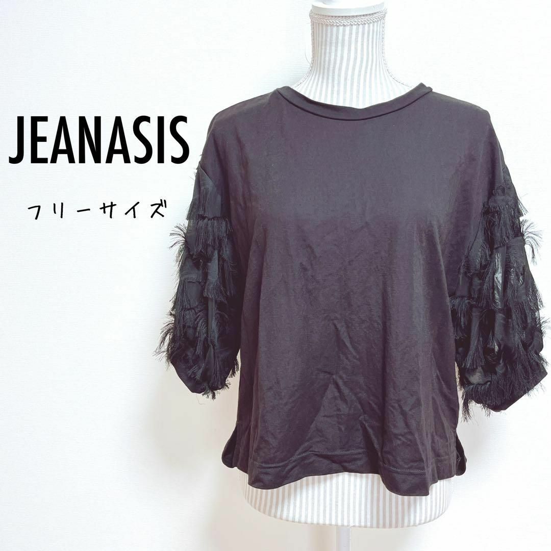 JEANASIS(ジーナシス)のジーナシス　フリンジスリーブトップス　カットソー　シースルー【F】ブラック レディースのトップス(Tシャツ(長袖/七分))の商品写真