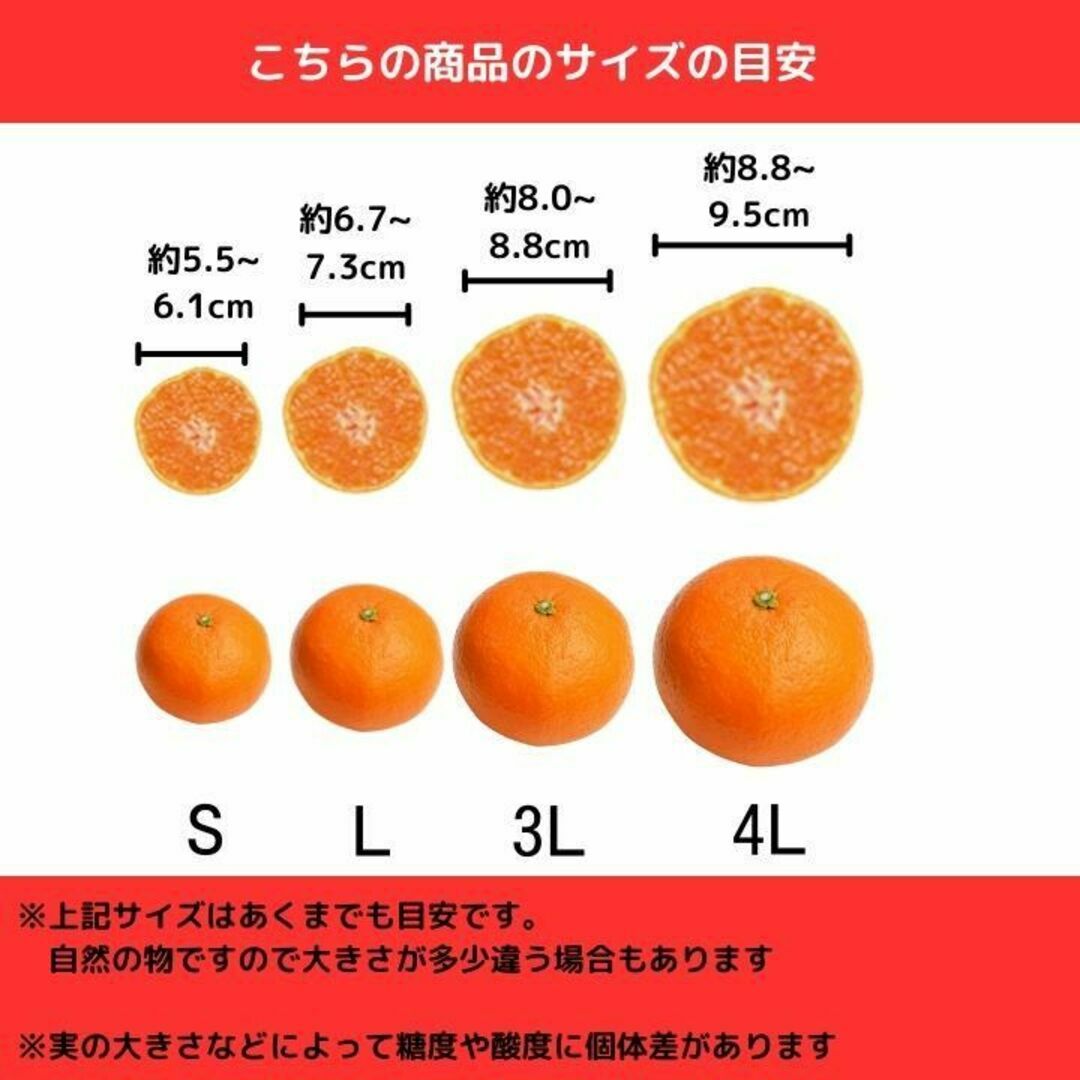 人気！デコポン(不知火)訳あり 減農薬 濃くて甘くて安心  有田 和歌山 2kg 食品/飲料/酒の食品(フルーツ)の商品写真