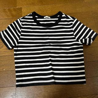 Tシャツ(Tシャツ(半袖/袖なし))