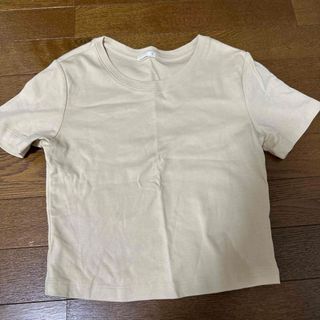 Tシャツ(Tシャツ(半袖/袖なし))