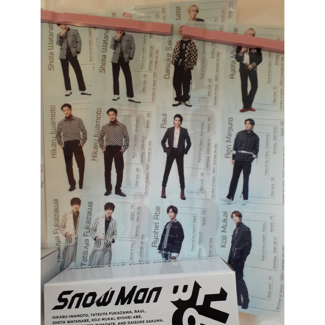 Snowman ペンライト クリアポスター まとめ エンタメ/ホビーのタレントグッズ(アイドルグッズ)の商品写真