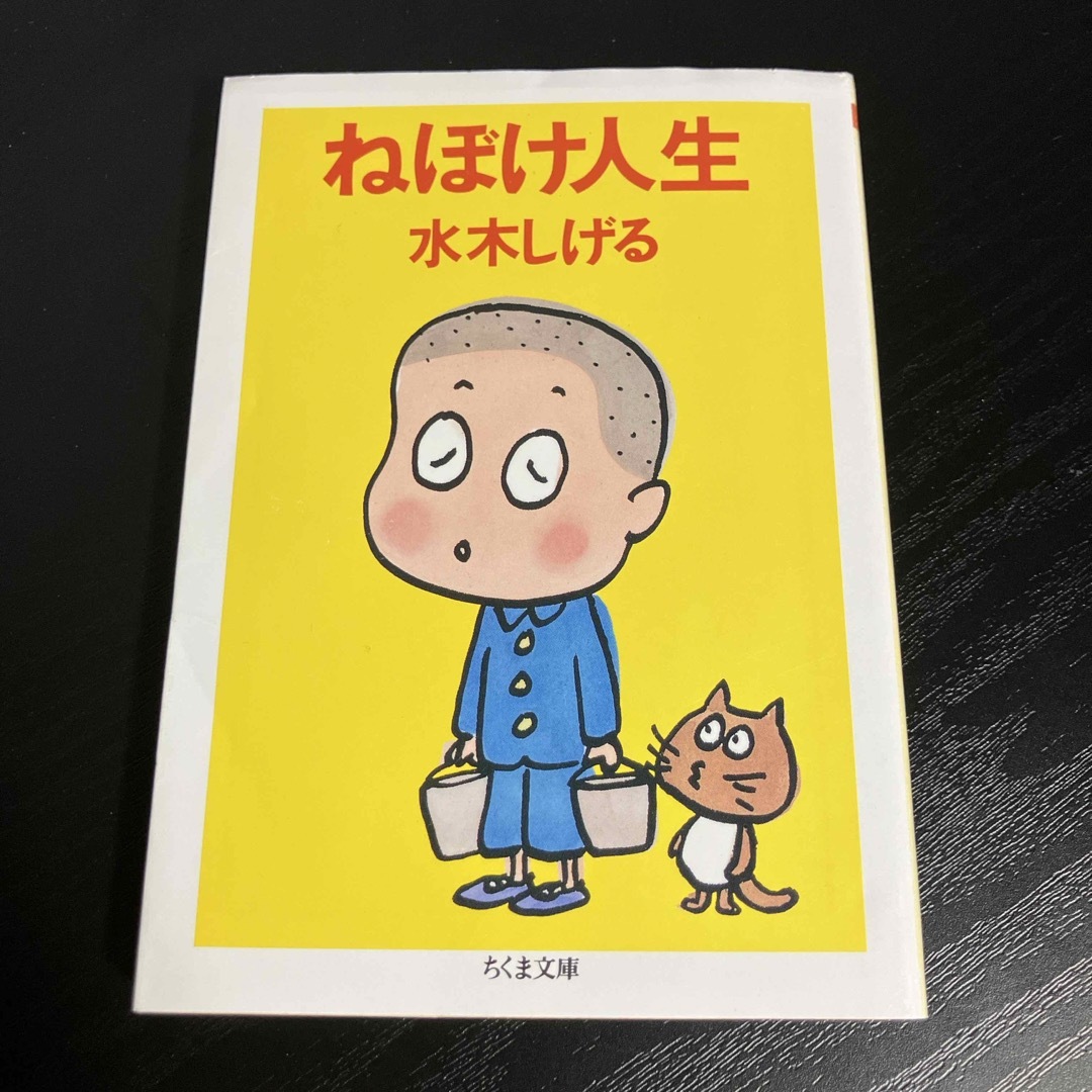 ねぼけ人生 エンタメ/ホビーの本(その他)の商品写真