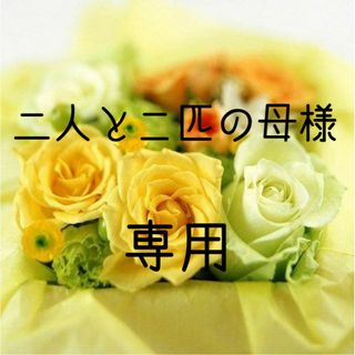 二人とニ匹の母様専用　お米　令和5年　愛媛県産ヒノヒカリ　玄米　30㎏(米/穀物)