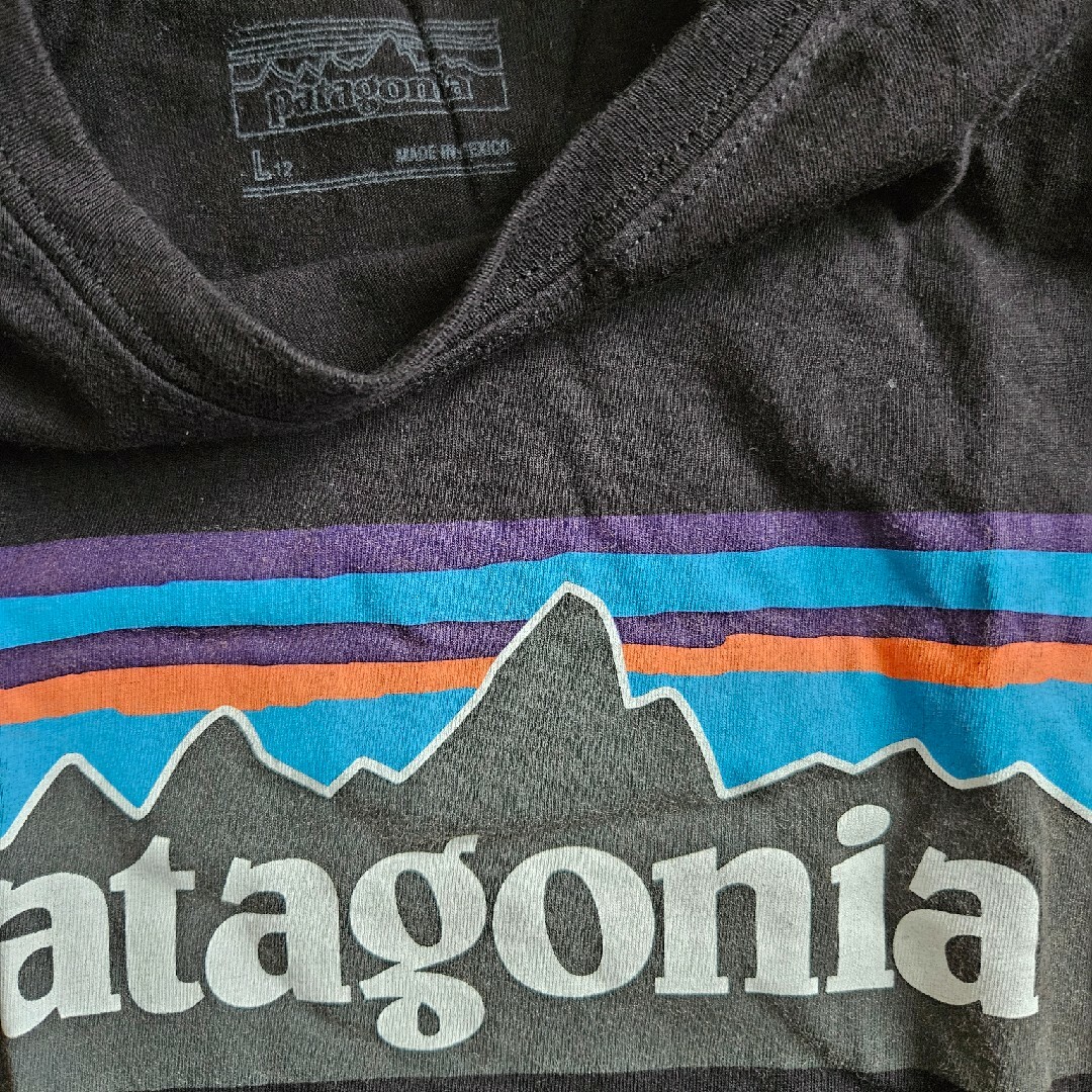 patagonia(パタゴニア)のpatagoniaキッズ半袖Tシャツ黒 キッズ/ベビー/マタニティのキッズ服男の子用(90cm~)(Tシャツ/カットソー)の商品写真