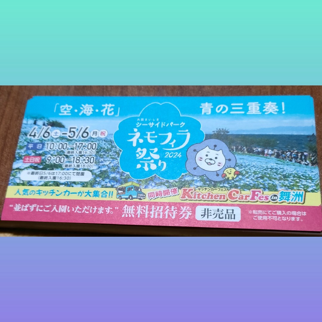 ■ 即日発送!! ■ ネモフィラ祭り 無料招待券 2枚セット チケットの優待券/割引券(その他)の商品写真