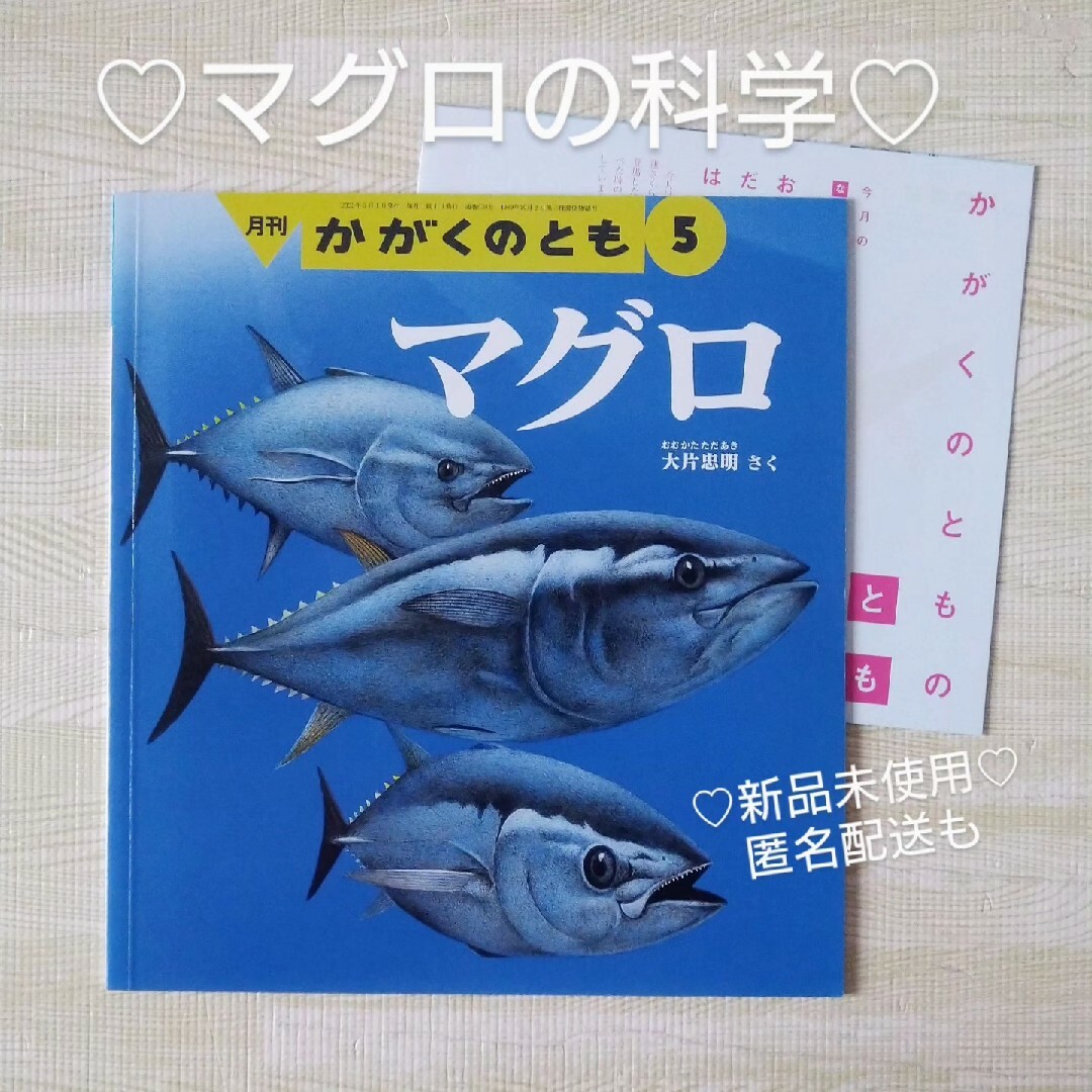 福音館書店(フクインカンショテン)のマグロ まぐろ 鮪 福音館書店 絵本 かがくのとも 生態 読み聞かせ 受験対策 エンタメ/ホビーの本(絵本/児童書)の商品写真