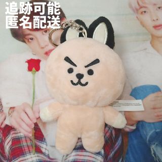 ⭐BT21 COOKY family IAN BTS ジョングク⭐マスコット(アイドルグッズ)