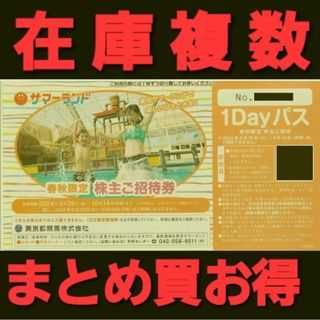 東京サマーランド春秋限定株主ご招待券1Dayパス 追加購入分割引 株主優待(プール)