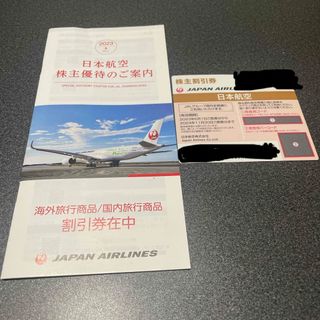 JAL 株主優待券日本航空2枚(航空券)