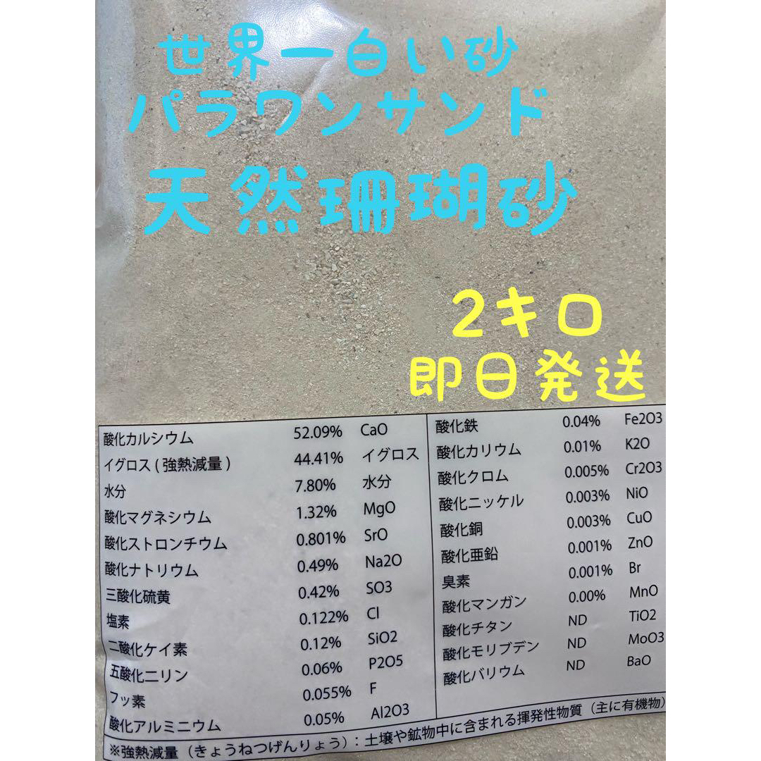 パラオ産　天然サンゴ砂　パラワンサンド　オカヤドカリ　観葉植物等　送料込み2キロ ハンドメイドのインテリア/家具(インテリア雑貨)の商品写真