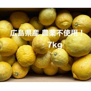 広島県産 レモン 約7kg 国産 農薬不使用(フルーツ)