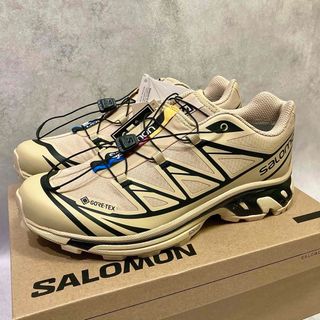 サロモン(SALOMON)の28cm 新品正規品 Salomon XT-6 GTX Safari(スニーカー)