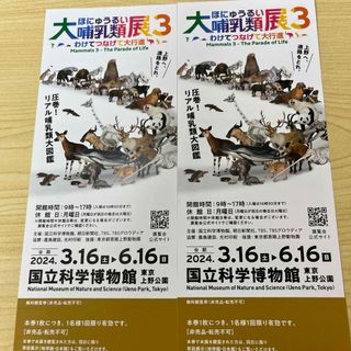 ＊大哺乳類展　2枚(美術館/博物館)