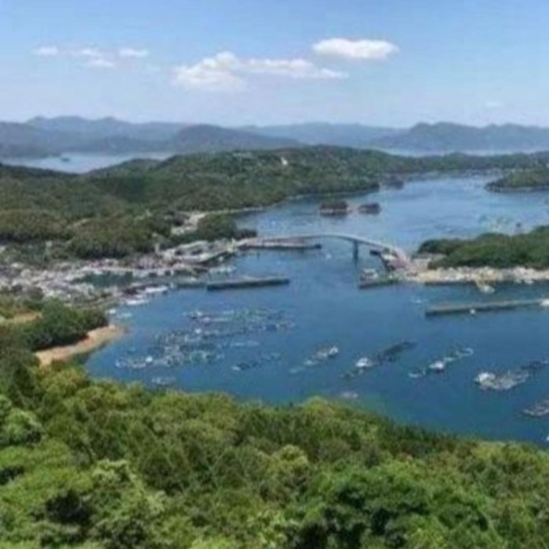 鹿児島県長島町産 あおさ あおさのり  乾燥あおさ 食品/飲料/酒の加工食品(乾物)の商品写真