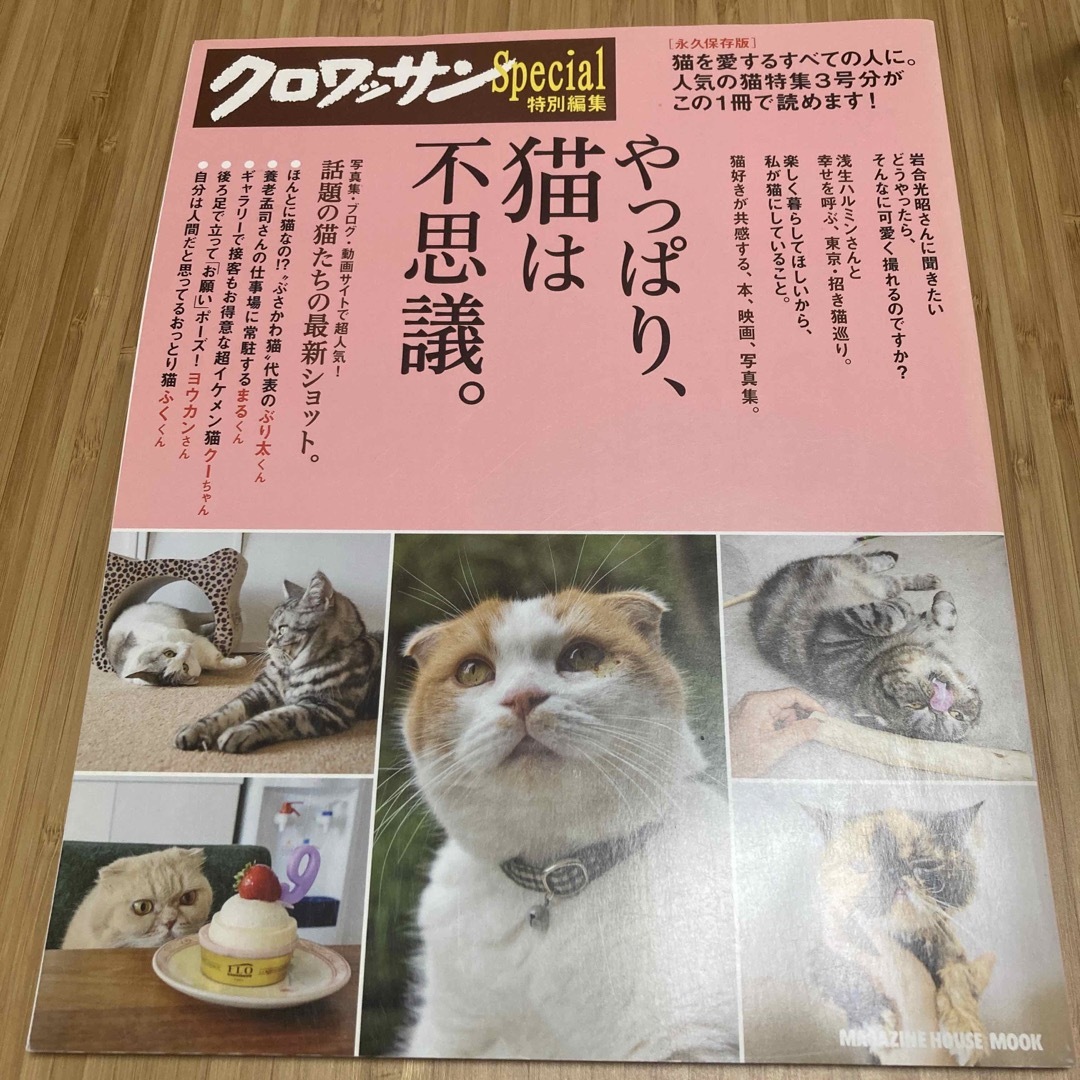 マガジンハウス(マガジンハウス)のやっぱり、猫は不思議。クロワッサンSpecial特別編集 その他のペット用品(猫)の商品写真