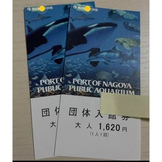 名古屋港水族館　大人　2枚セット(水族館)