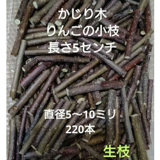 かじり木りんごのミニ小枝220本　生枝(小動物)