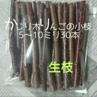 かじり木りんごの小枝30本　生枝(小動物)