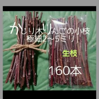 かじり木りんごの極細枝160本　生枝(小動物)