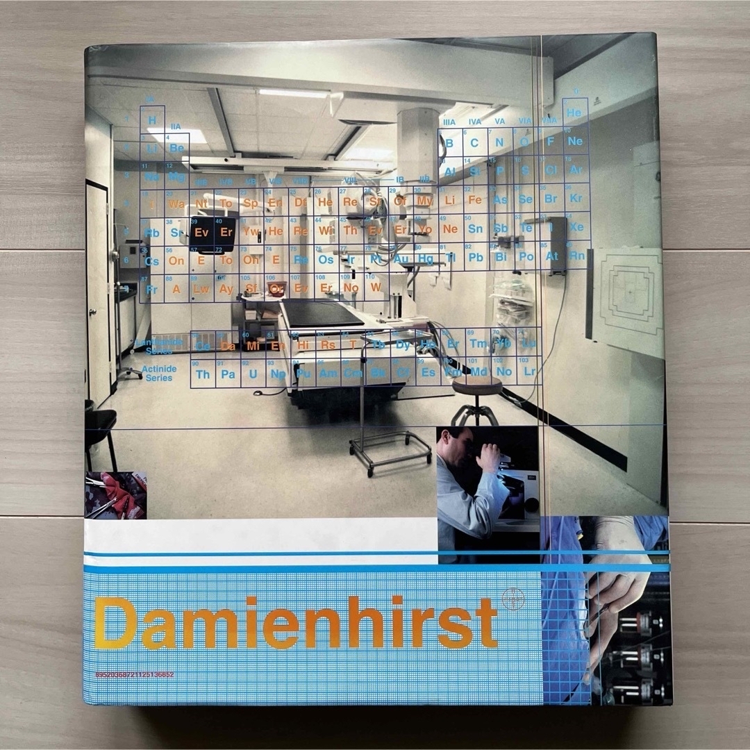 Damienhirst ダミアンハースト 大型本First Edition版 エンタメ/ホビーの本(アート/エンタメ)の商品写真