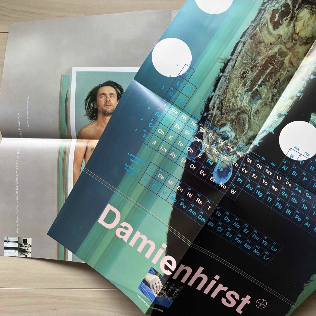 Damienhirst ダミアンハースト 大型本First Edition版 エンタメ/ホビーの本(アート/エンタメ)の商品写真