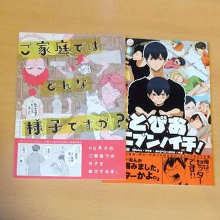 ハイキュー同人誌 オールキャラ ２冊セット(一般)