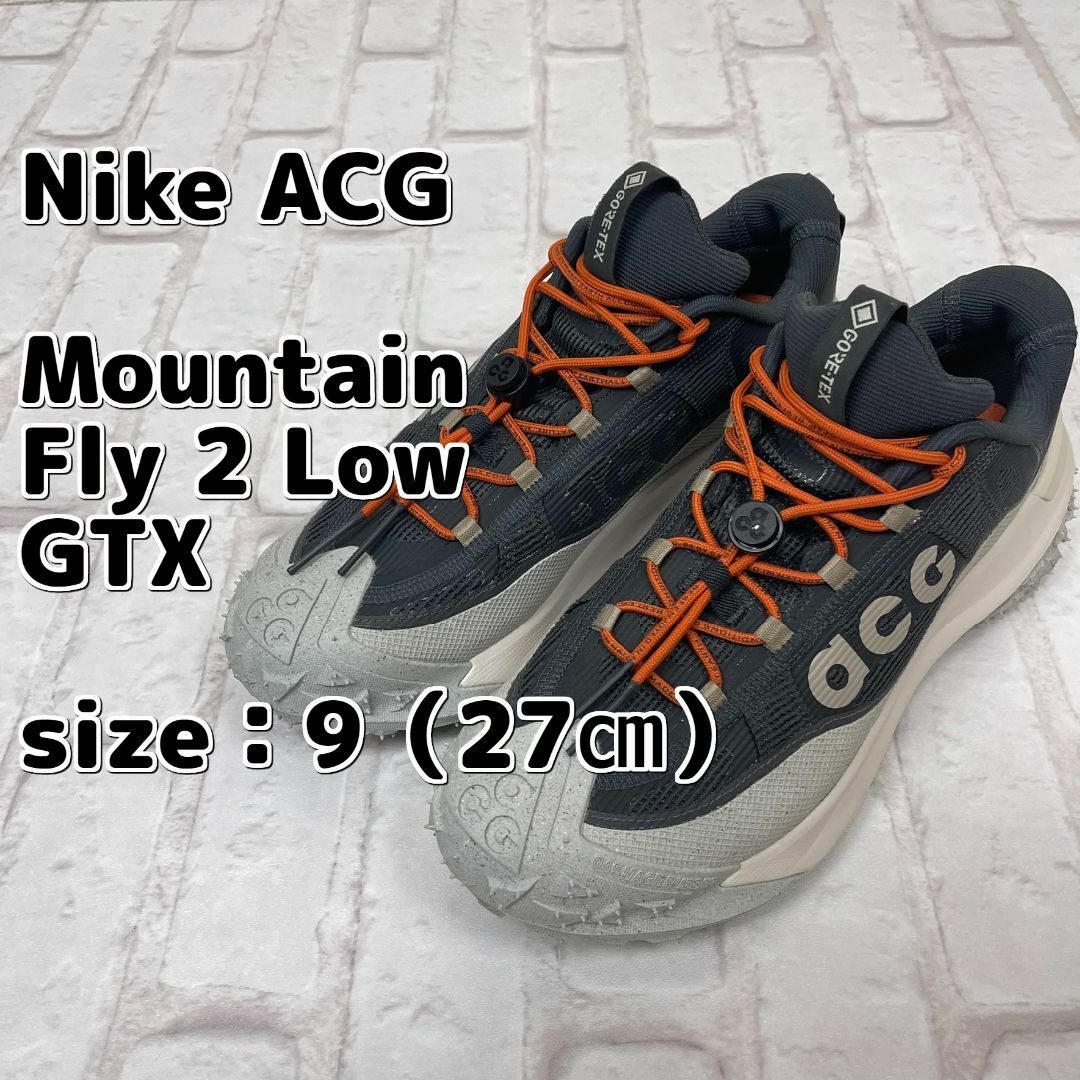 NIKE(ナイキ)の【完売サイズ！】Nike／ナイキ ACG Mountain Fly 2 Low メンズの靴/シューズ(スニーカー)の商品写真