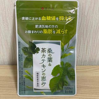 ワカンノモリ(和漢の森)の和漢の森　桑の葉&茶カテキンの恵み 120粒入×1袋  (ダイエット食品)