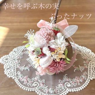 光触媒加工ウォールグリーン壁掛け 幸せを呼ぶぶったナッツ♡ピンク♡(その他)