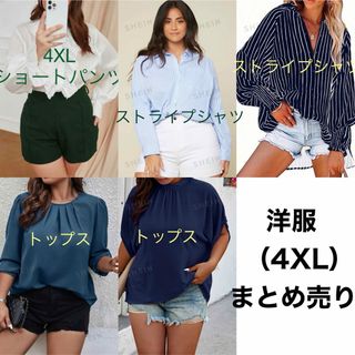 プニュズ(PUNYUS)のプラスサイズ　洋服　まとめ売り(シャツ/ブラウス(長袖/七分))