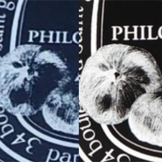 ディプティック(diptyque)の偽物確認、販売つんつくさん、確認用(その他)