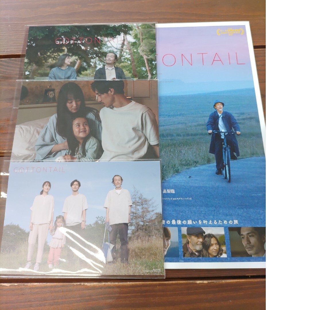 映画　コットンテール　cottontail　ポストカード3枚＋フライヤー エンタメ/ホビーのDVD/ブルーレイ(日本映画)の商品写真