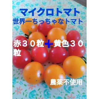 世界一ちっちゃなトマト種　マイクロトマト種　赤➕黄色　タネ(野菜)