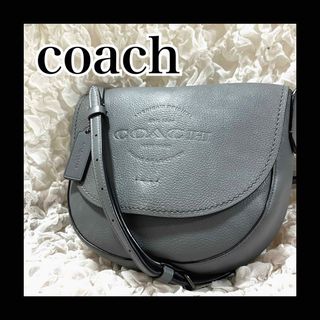 コーチ(COACH)の希少　コーチ　ショルダーバッグ　オールレザー　ハドソン　斜め掛け　型押し　グレー(ショルダーバッグ)