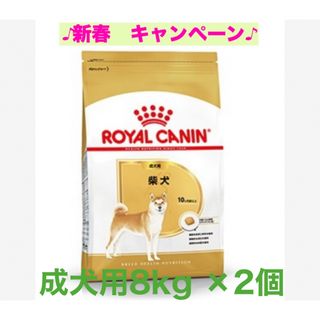 ロイヤルカナン(ROYAL CANIN)のロイヤルカナン　柴犬成犬用8kg ×2個(ペットフード)