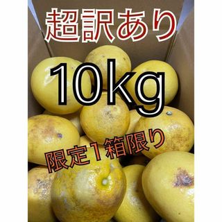 超訳あり土佐文旦　 10kg(フルーツ)