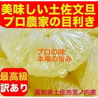 土佐文旦:美味しいを約束！最高級訳あり9.5kg(フルーツ)