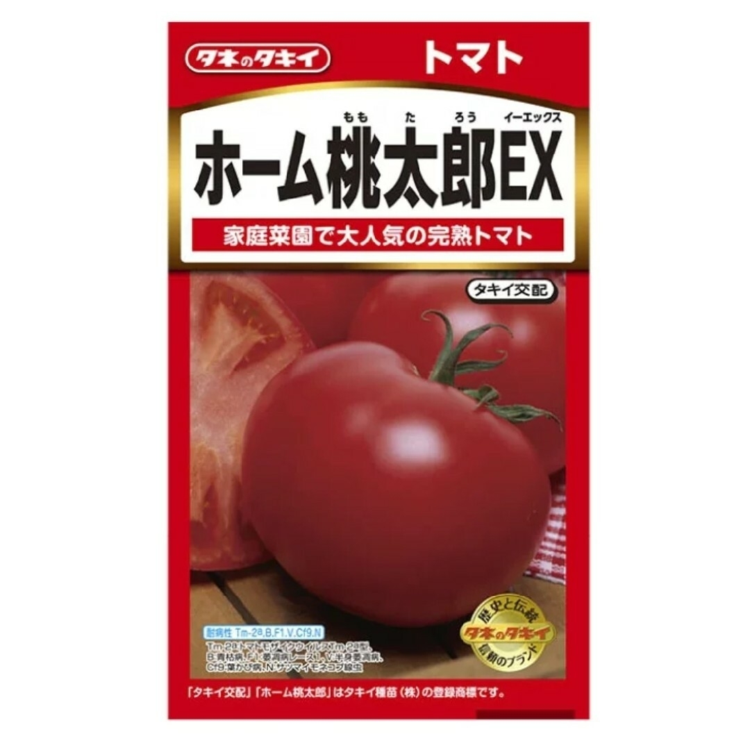 種いろいろ　東京芳香5粒、大玉すいか4粒、桃太郎5粒 食品/飲料/酒の食品(野菜)の商品写真